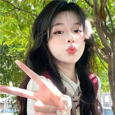 齐姆与友